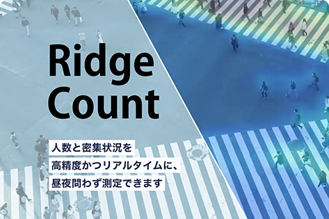 Ridge Count